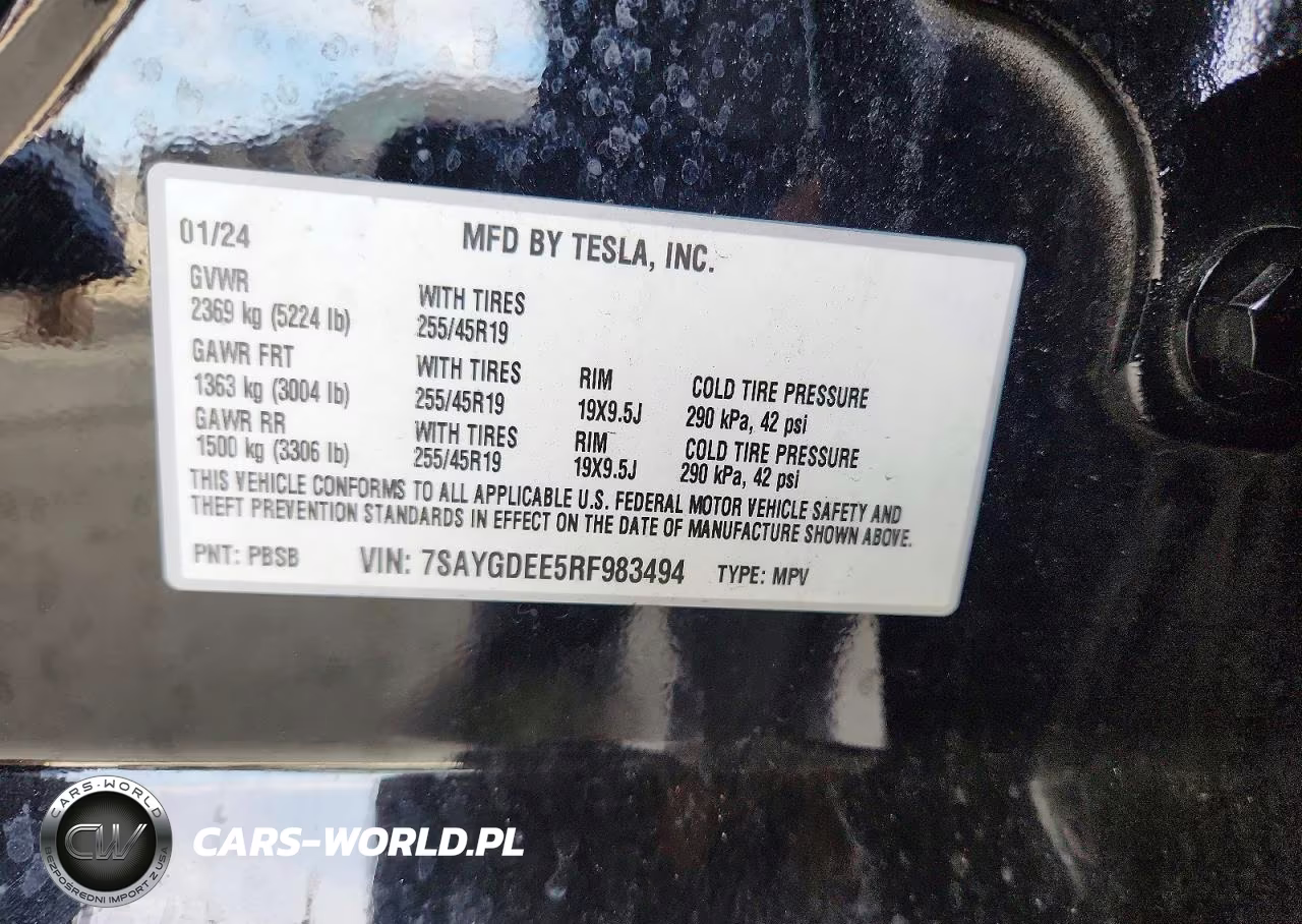 2024 Tesla Model Y VIN:7SAYGDEE5RF983494 - 12