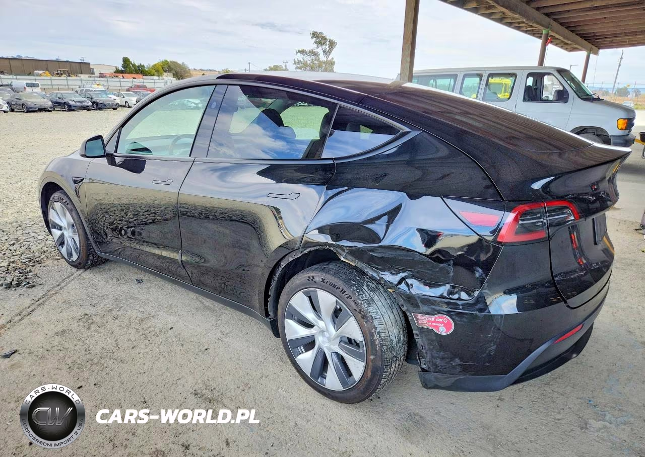 2024 Tesla Model Y VIN:7SAYGDEE5RF983494 - 2