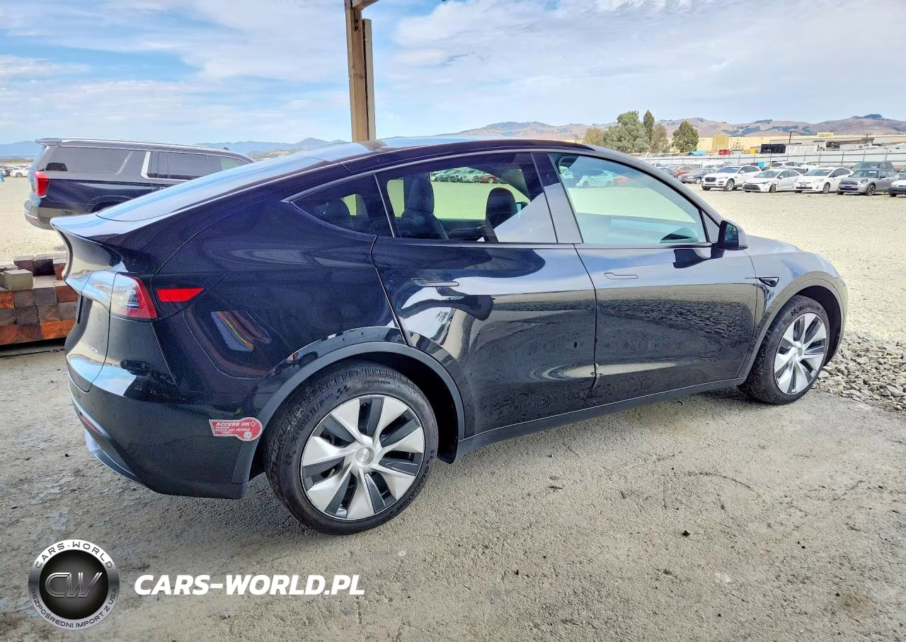 2024 Tesla Model Y VIN:7SAYGDEE5RF983494 - 3