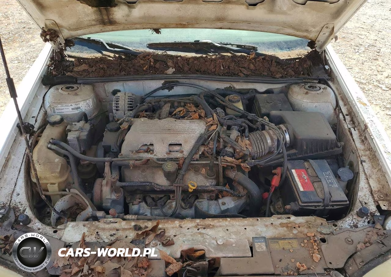 1999 Chevrolet Malibu Ls VIN:1G1NE52M4XY103625 - 11