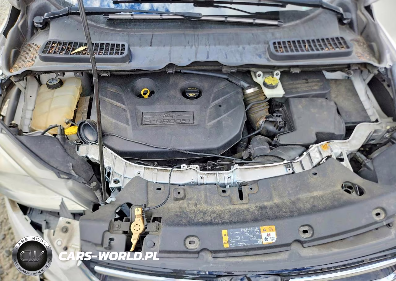2013 Ford Escape Sel VIN:1FMCU9H94DUB56206 - 12