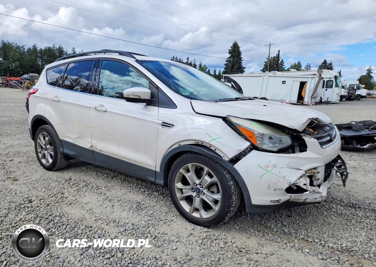 2013 Ford Escape Sel VIN:1FMCU9H94DUB56206 - 4