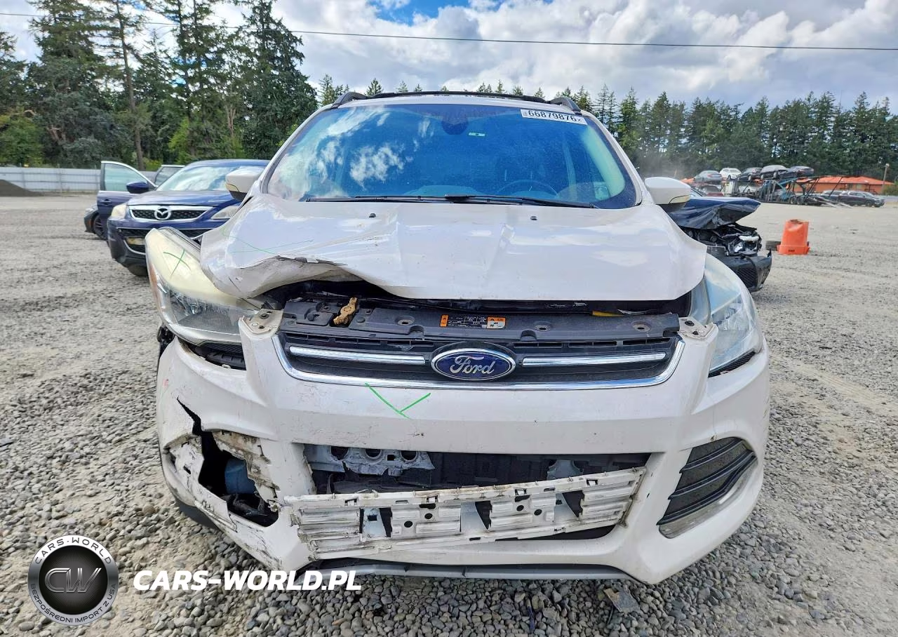2013 Ford Escape Sel VIN:1FMCU9H94DUB56206 - 5