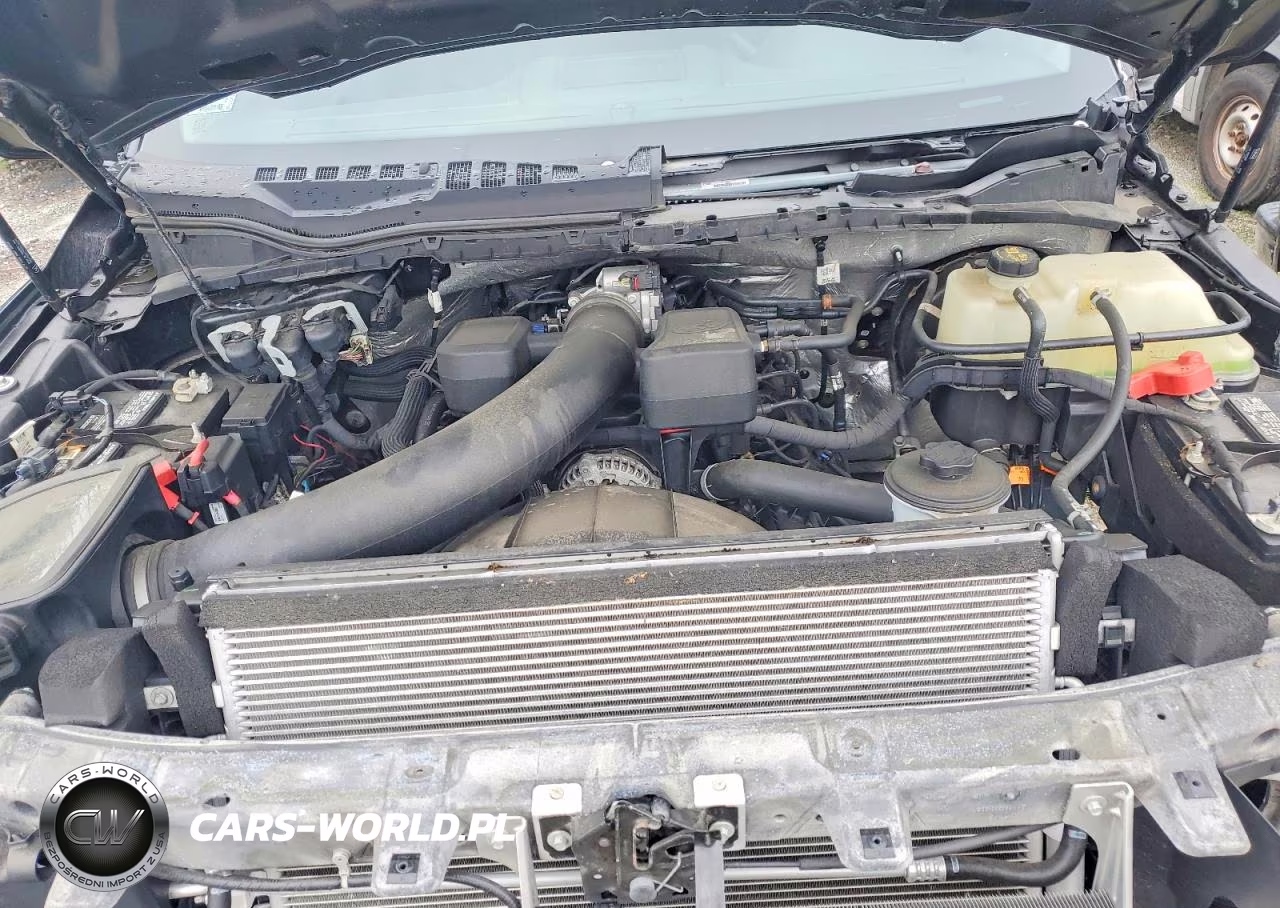 2021 Ford F250 Super Duty VIN:1FT7W2B67MEE11785 - 11
