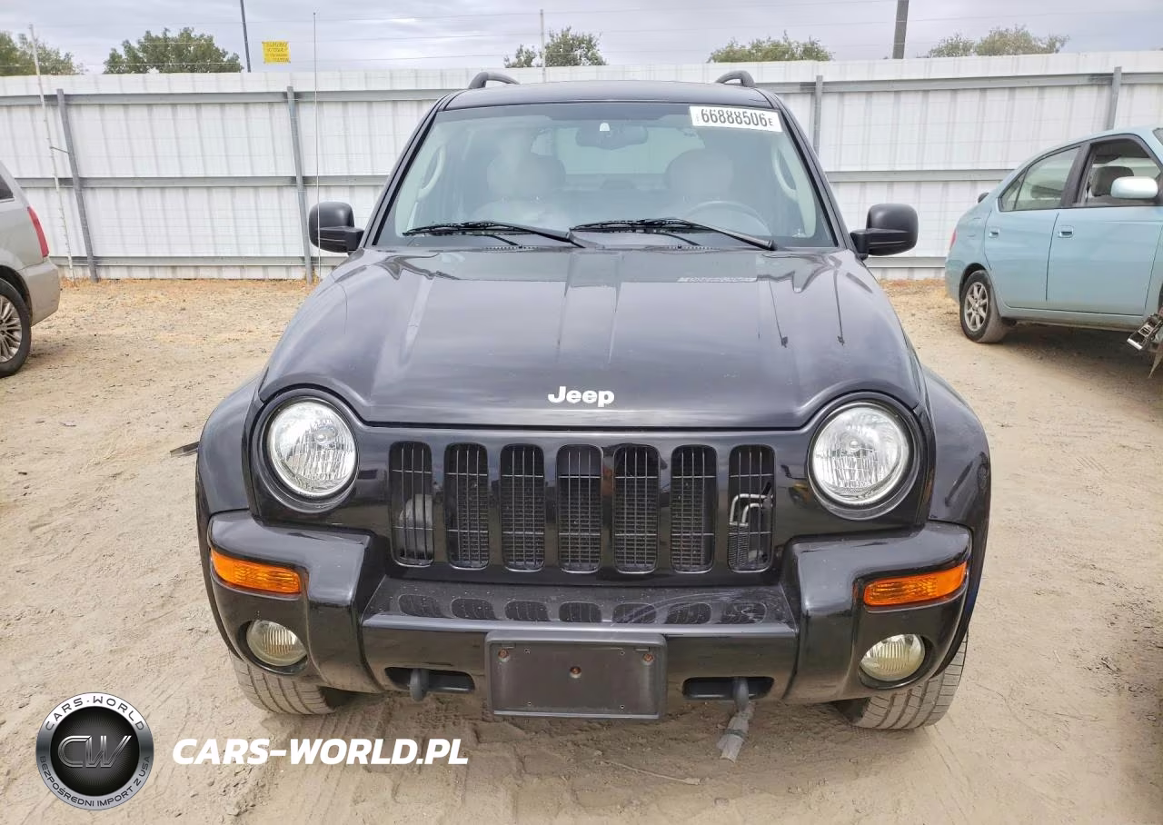 2003 Jeep Liberty Limited VIN:1J8GL58KX3W503778 - 5