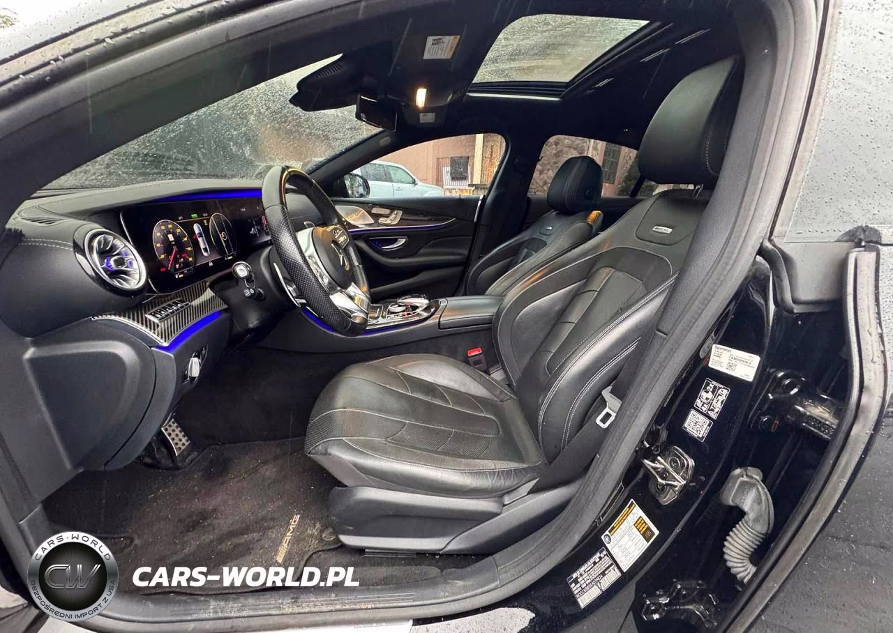 2019 Mercedes-Benz Cls Amg 53 4Matic VIN:WDD2J6BB5KA028824 - 10
