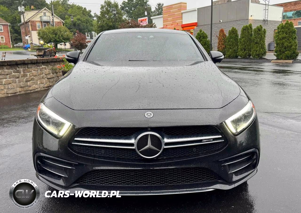 2019 Mercedes-Benz Cls Amg 53 4Matic VIN:WDD2J6BB5KA028824 - 12
