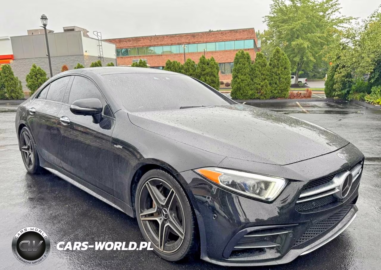 2019 Mercedes-Benz Cls Amg 53 4Matic VIN:WDD2J6BB5KA028824 - 4