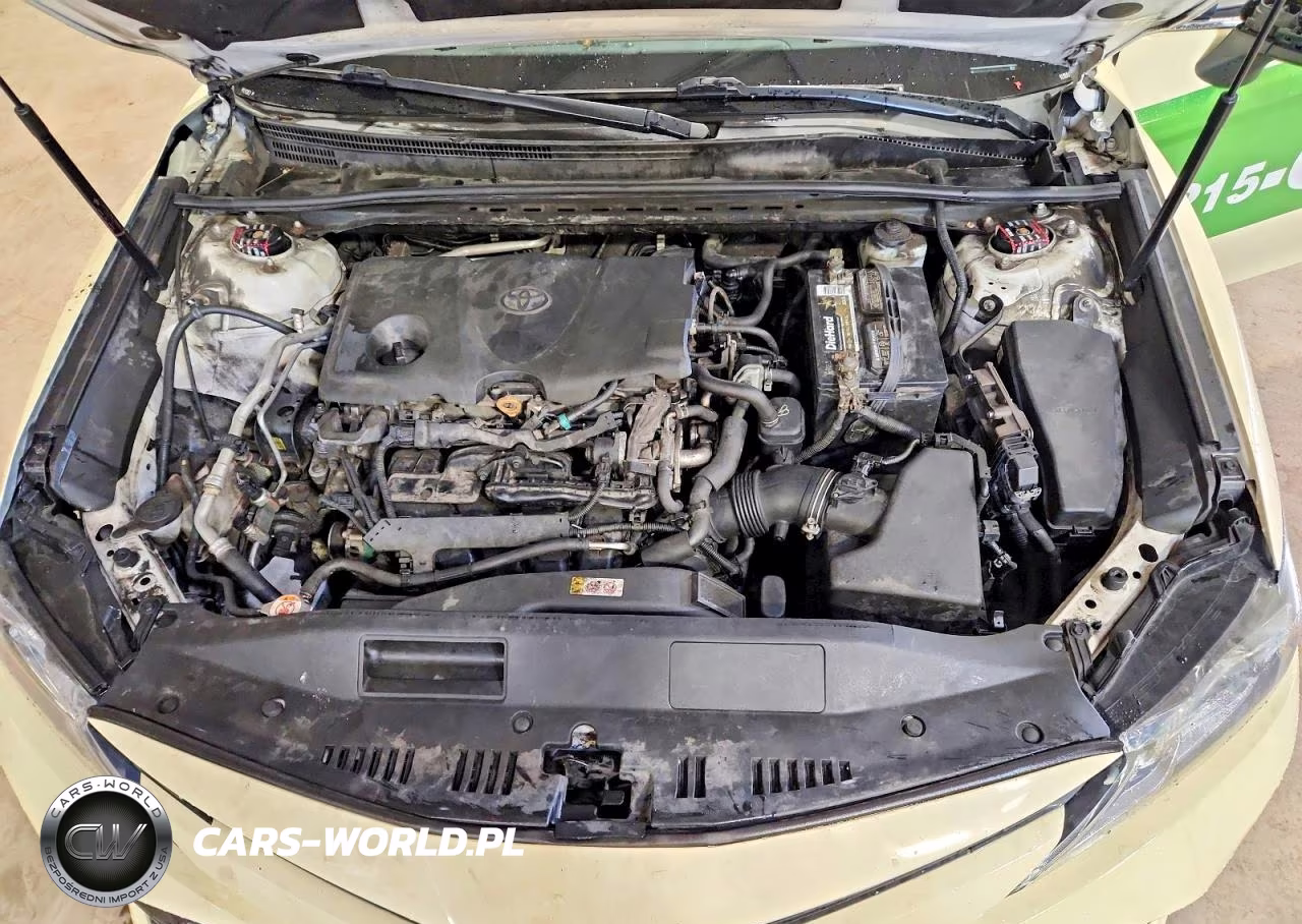 2019 Toyota Camry Le VIN:4T1B11HK4KU775426 - 11
