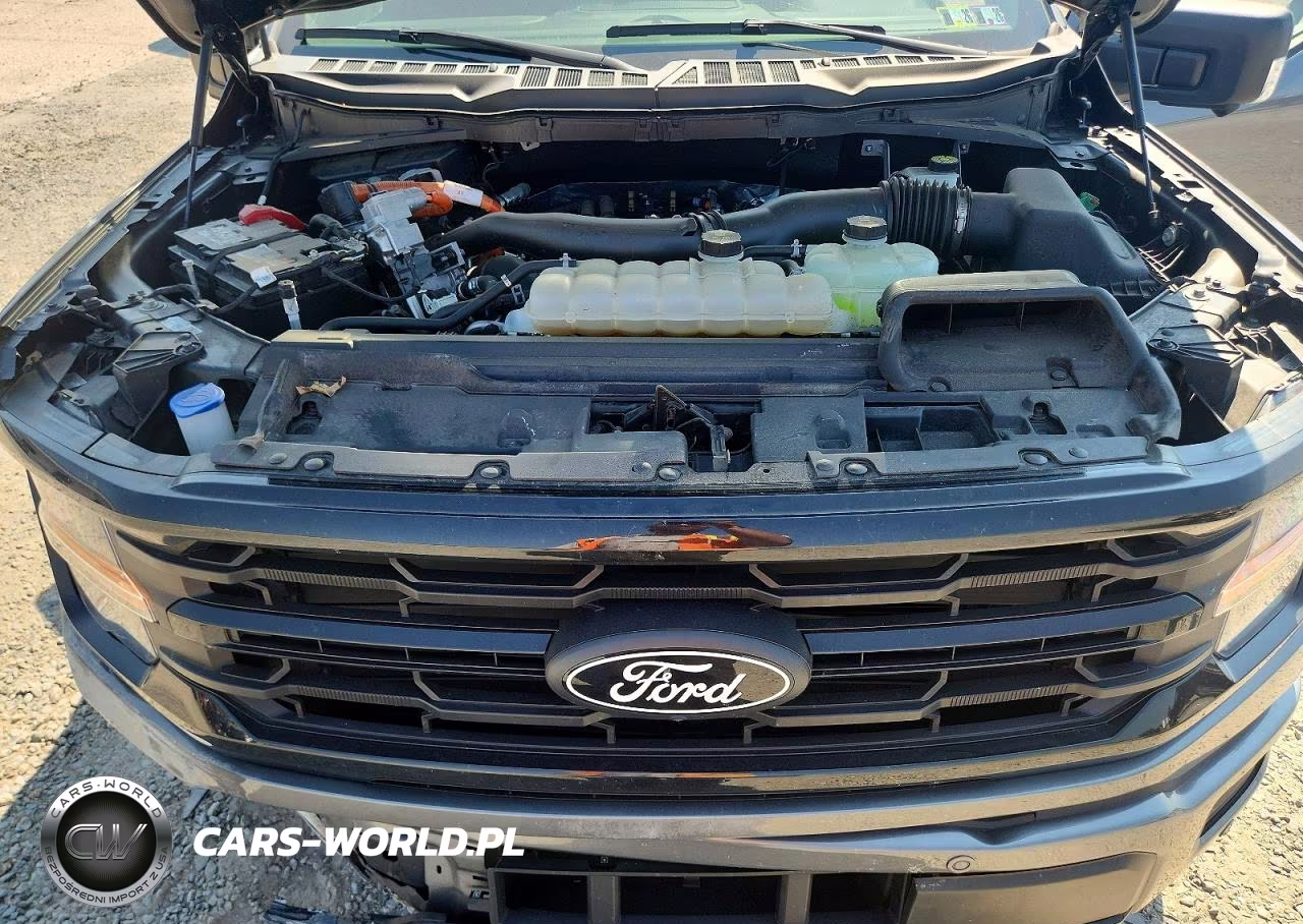 2024 Ford F150 Xlt VIN:1FTFW3LD5RFB29502 - 11