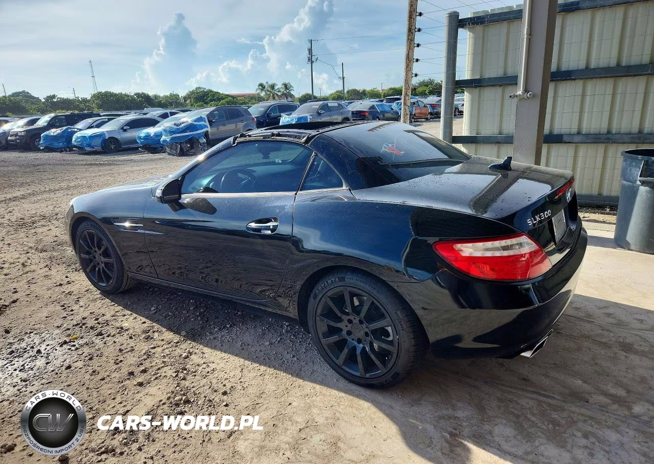2016 Mercedes-Benz Slk 300 VIN:WDDPK3JA9GF124248 - 2