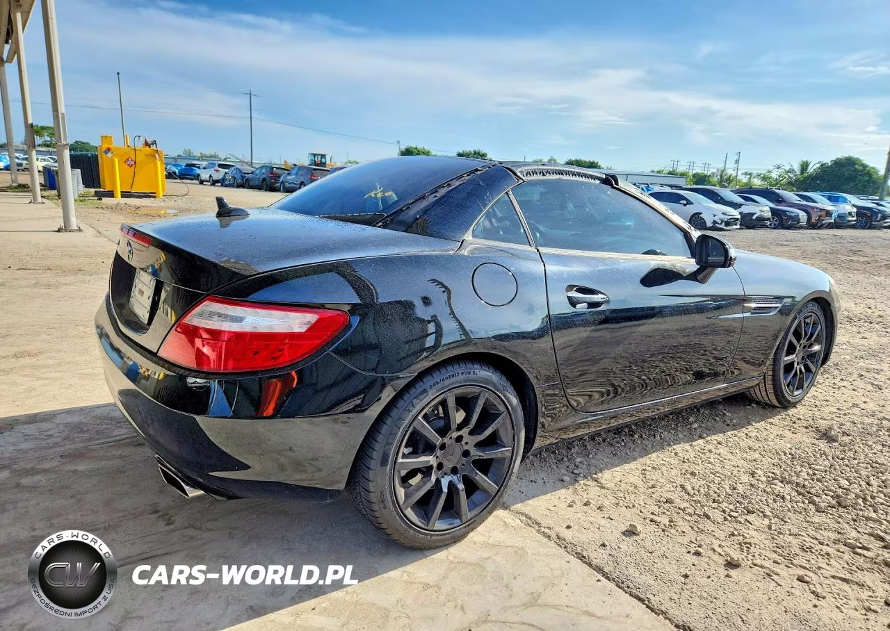 2016 Mercedes-Benz Slk 300 VIN:WDDPK3JA9GF124248 - 3