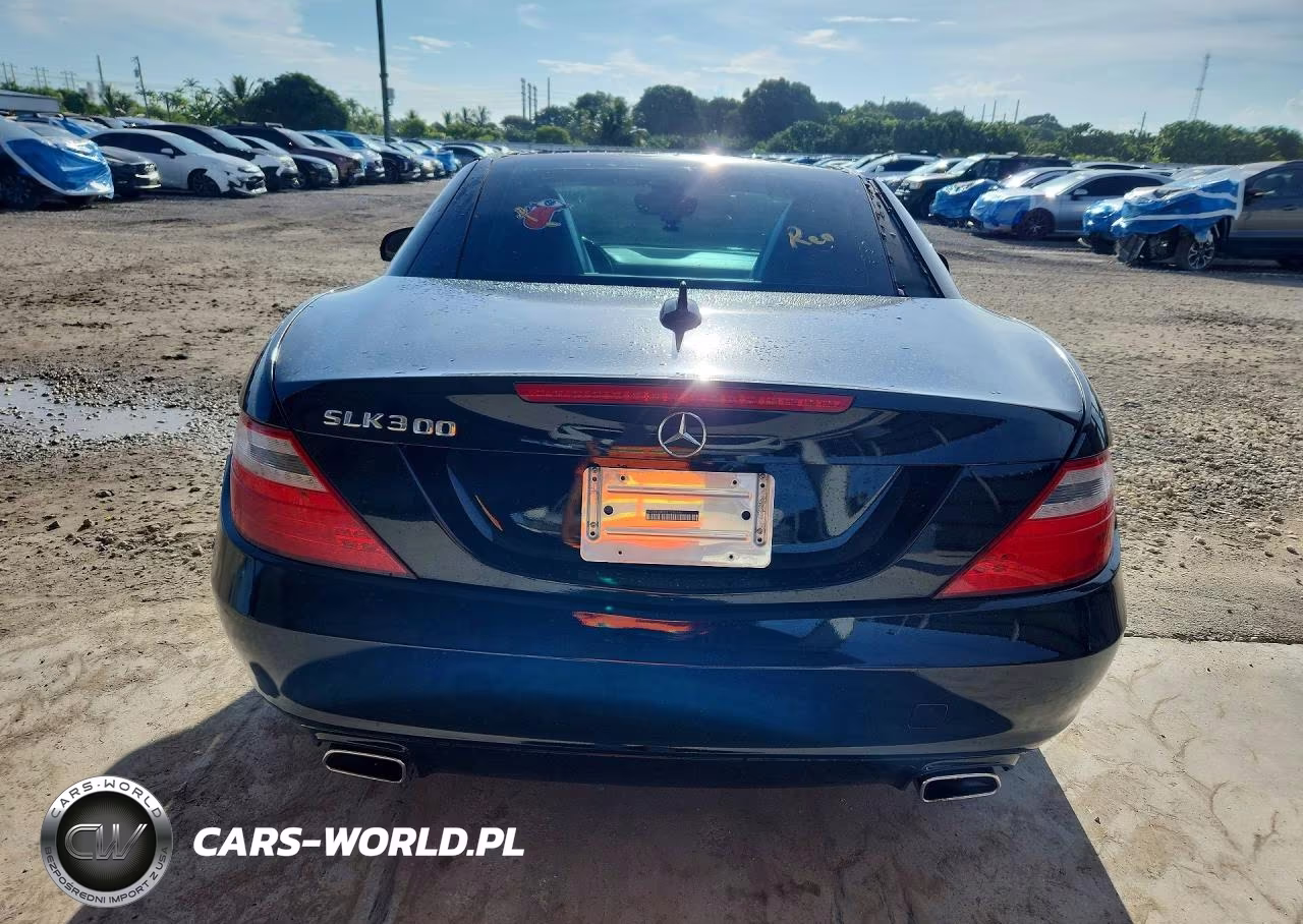 2016 Mercedes-Benz Slk 300 VIN:WDDPK3JA9GF124248 - 6