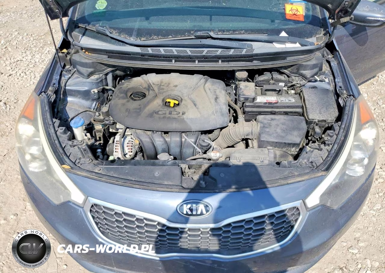 2016 Kia Forte Ex VIN:KNAFX5A83G5493867 - 11