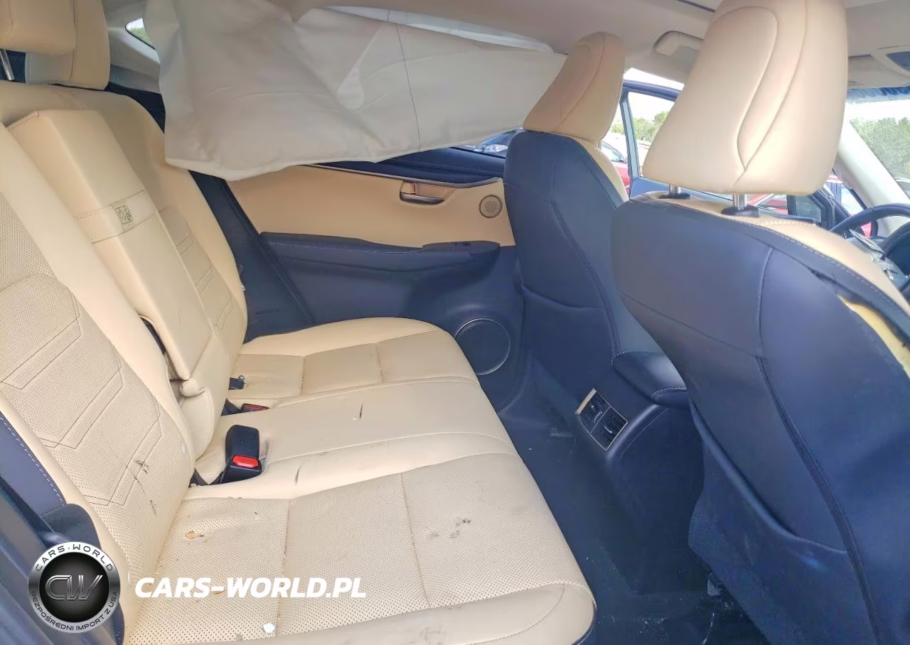 2016 Lexus Nx 300H VIN:JTJBJRBZ7G2034146 - 10