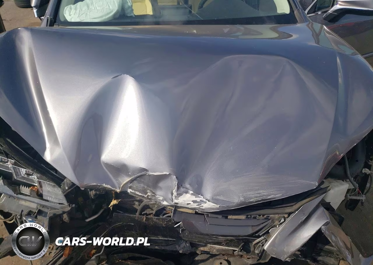 2016 Lexus Nx 300H VIN:JTJBJRBZ7G2034146 - 11