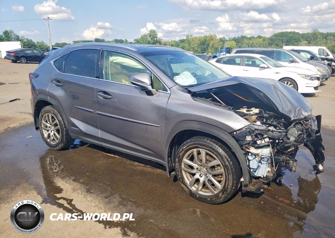 2016 Lexus Nx 300H VIN:JTJBJRBZ7G2034146 - 4