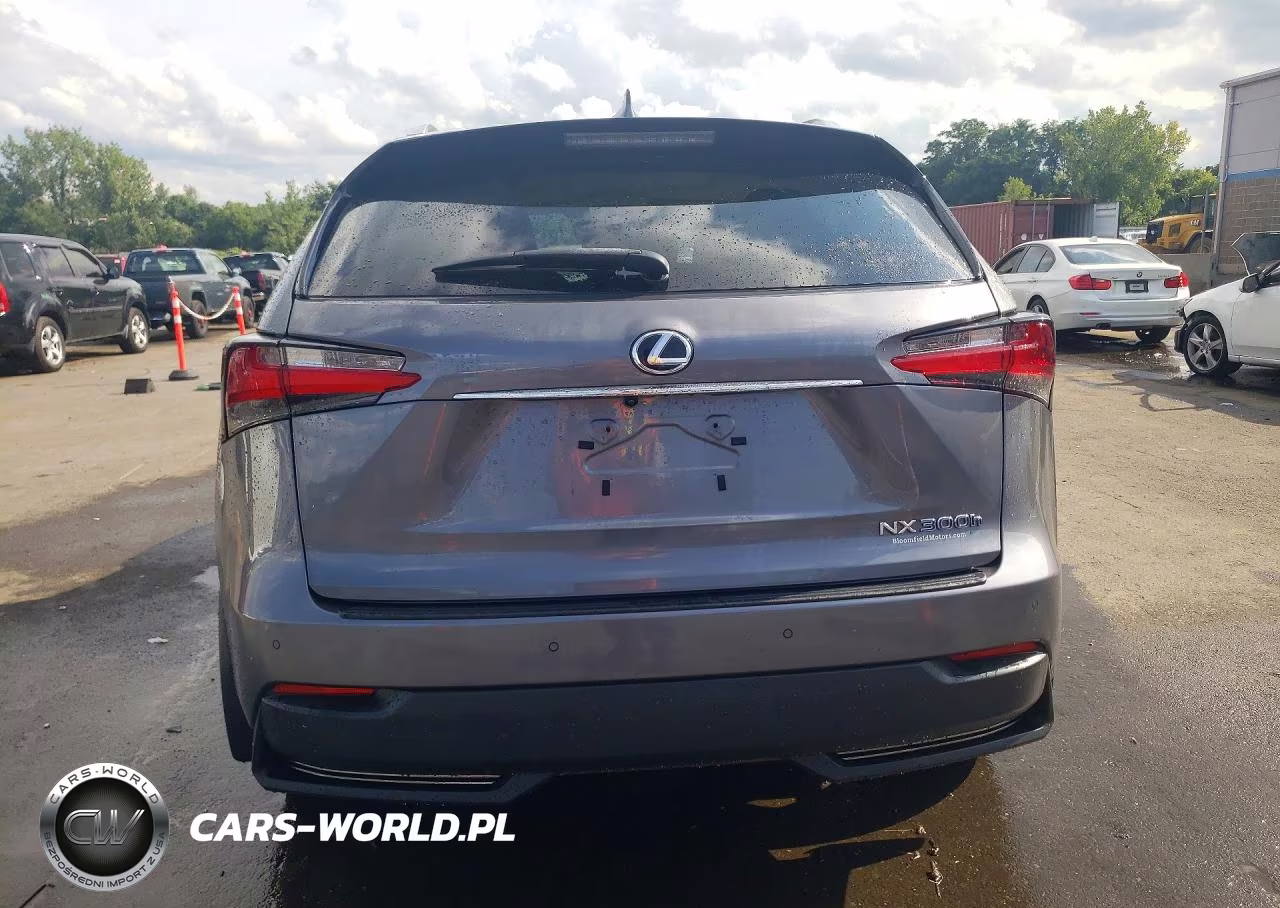 2016 Lexus Nx 300H VIN:JTJBJRBZ7G2034146 - 6