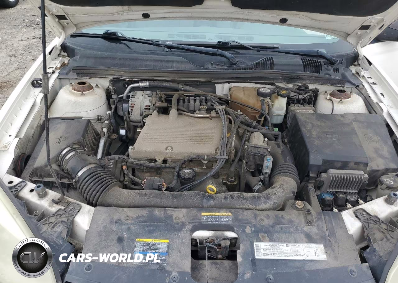 2004 Chevrolet Malibu Maxx Ls VIN:1G1ZT64864F210695 - 11