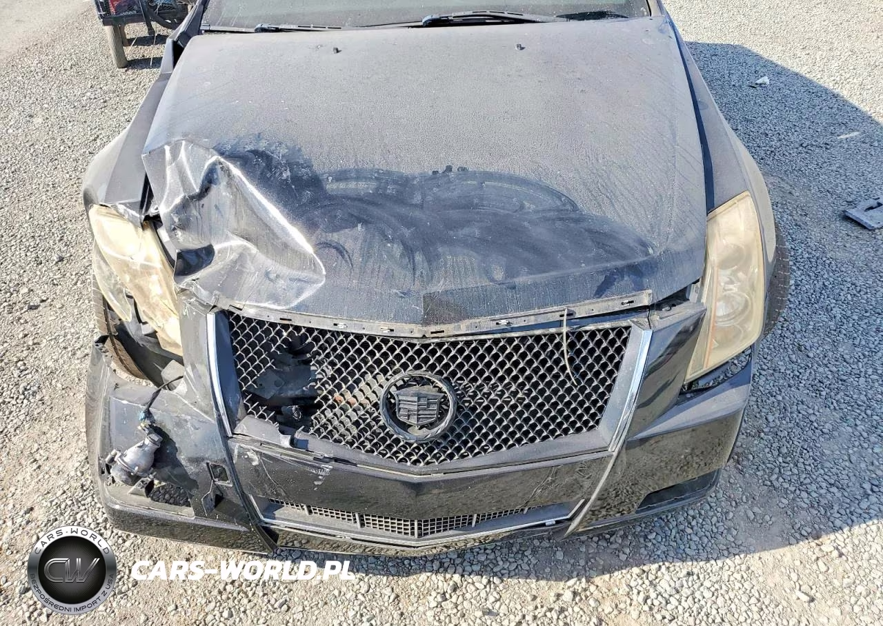 2012 Cadillac Cts Performance Collection VIN:1G6DM1E39C0144295 - 11