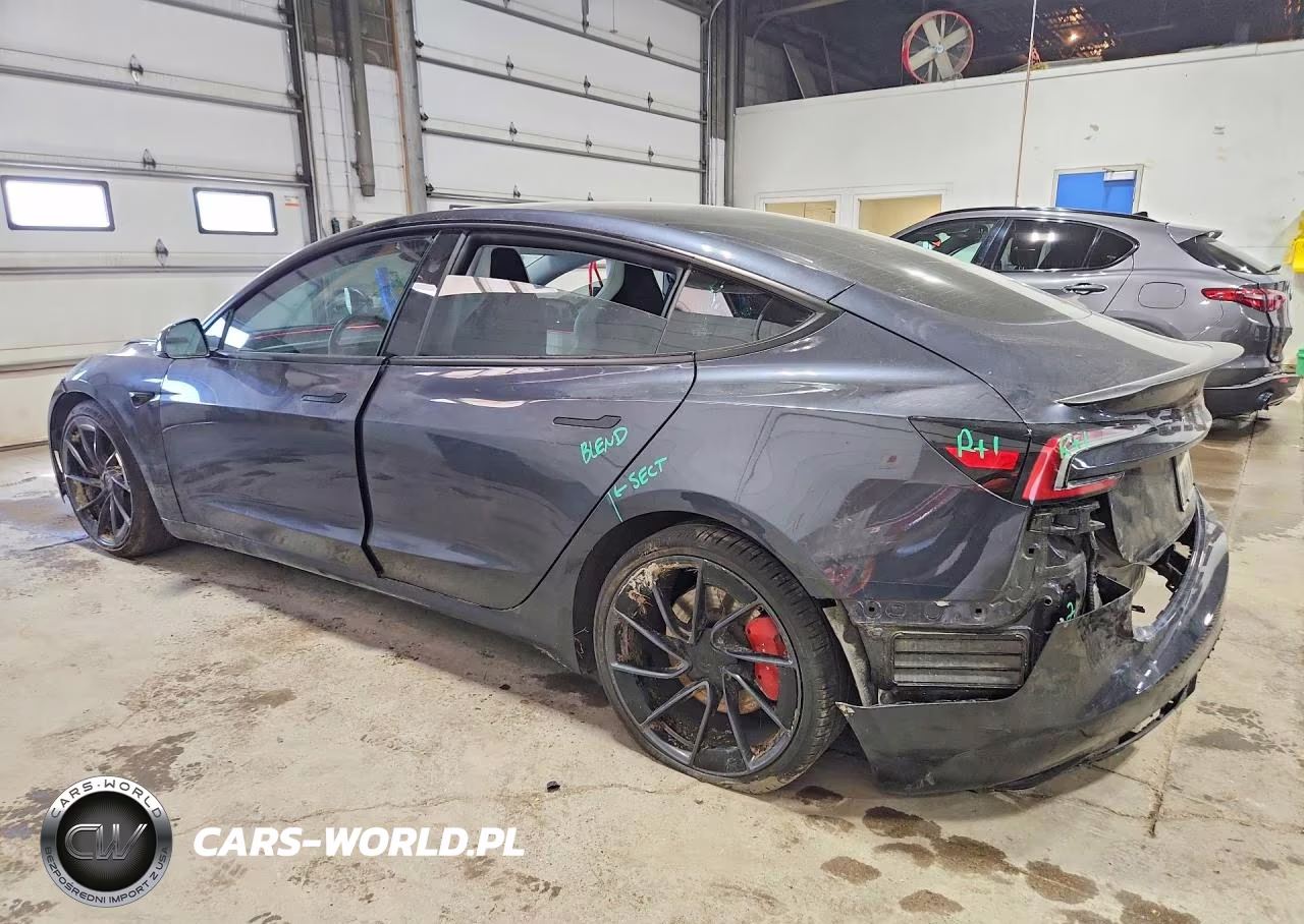 2024 Tesla Model 3 VIN:5YJ3E1ETXRF826845 - 2