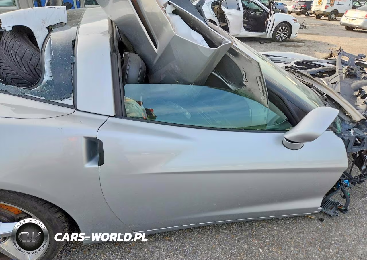 2011 Chevrolet Corvette VIN:1G1YF2DW4B5111919 - 10