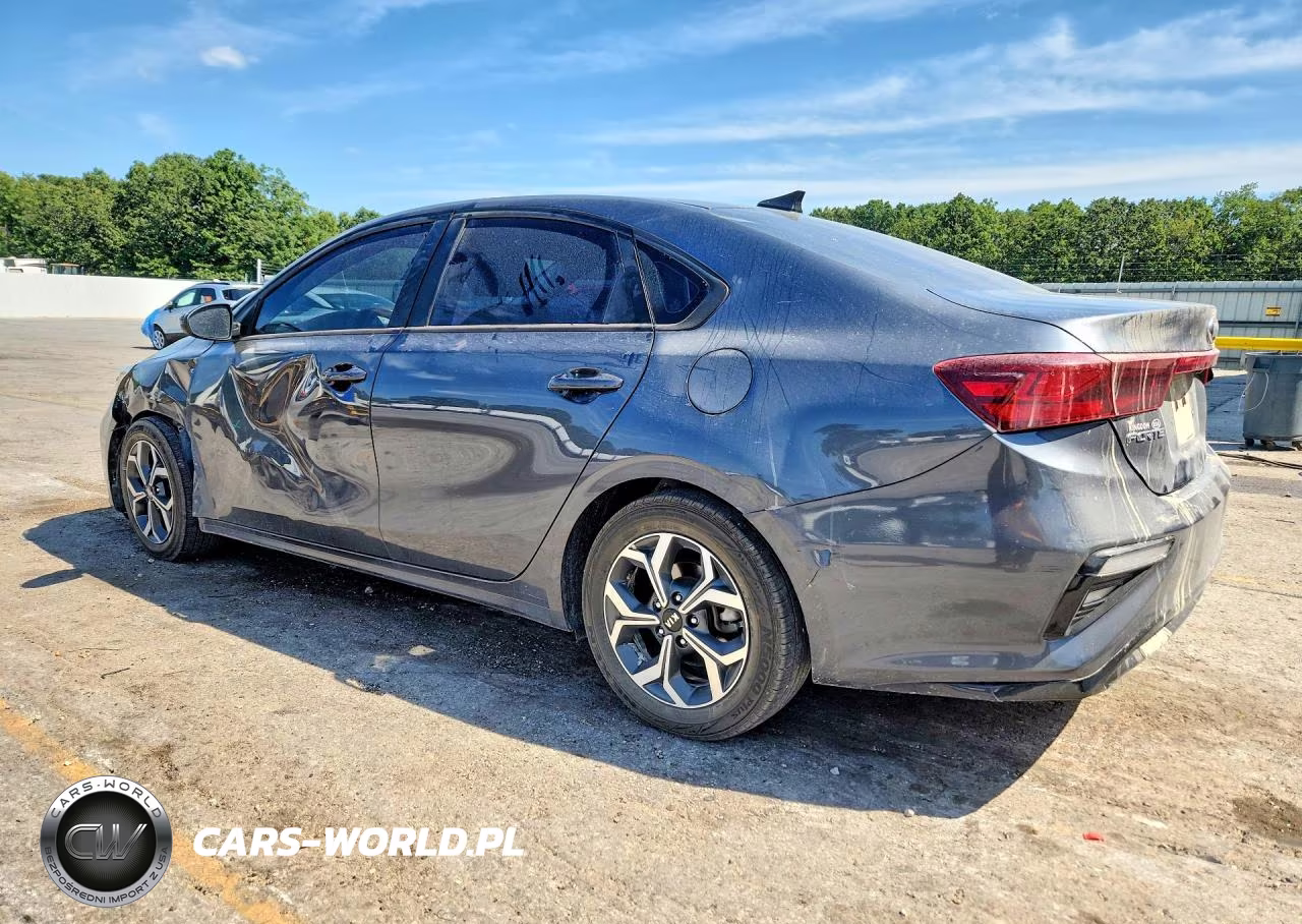 2020 Kia Forte VIN:3KPF24AD6LE223782 - 2