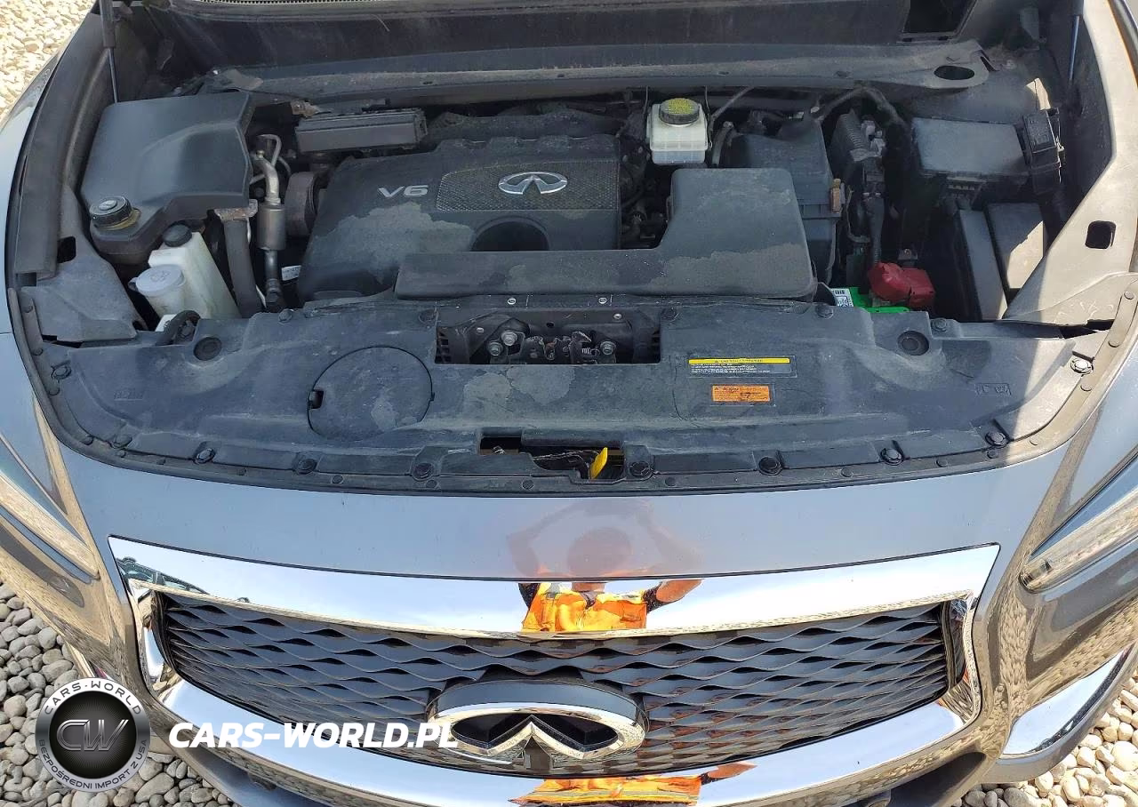 2019 Infiniti Qx60 Luxe VIN:5N1DL0MM9KC558366 - 12