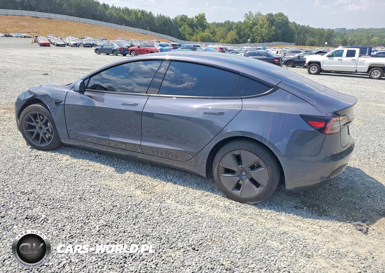 2023 Tesla Model 3 VIN:5YJ3E1EA5PF697652 - 2