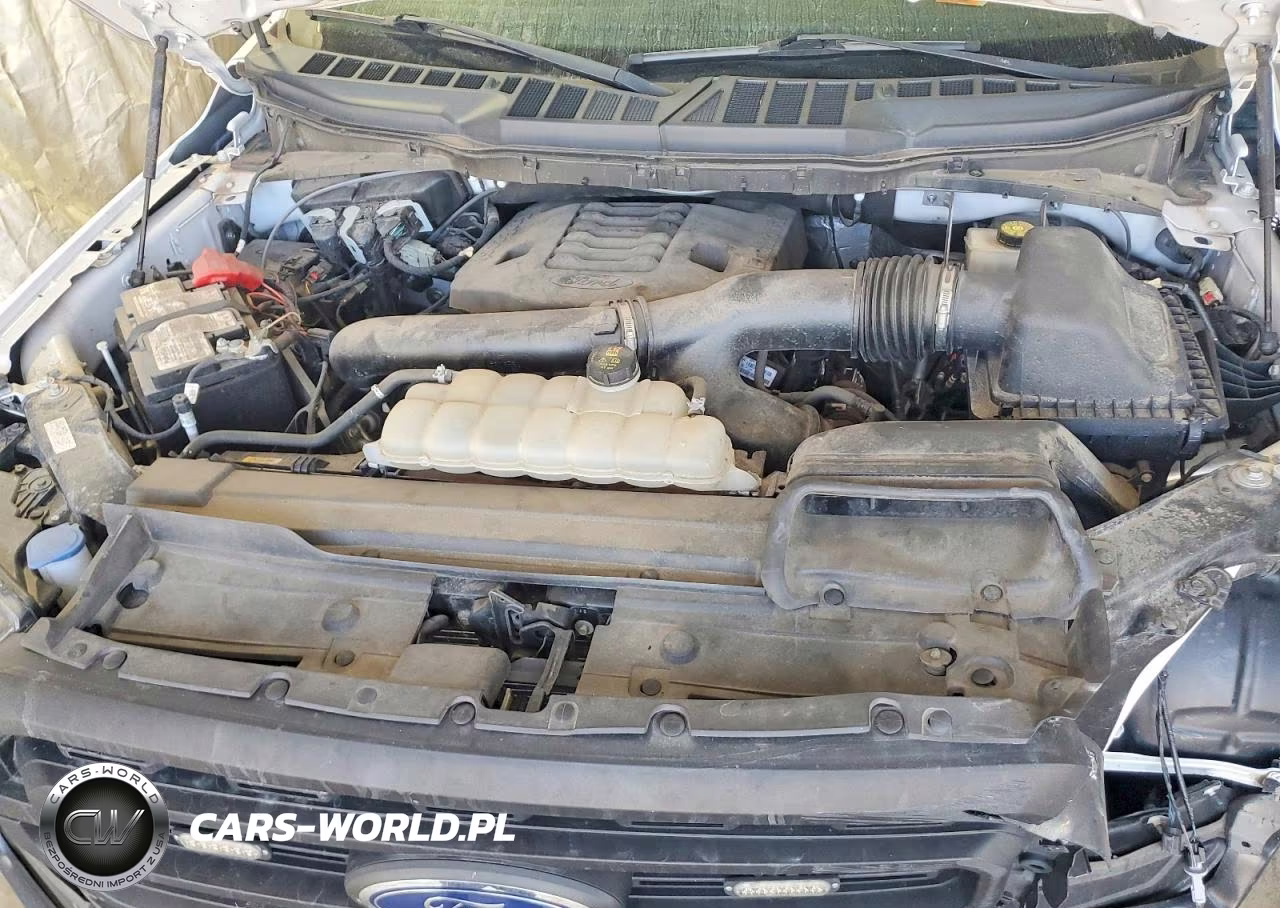 2023 Ford F150 VIN:1FTFW1E8XPFA76300 - 11