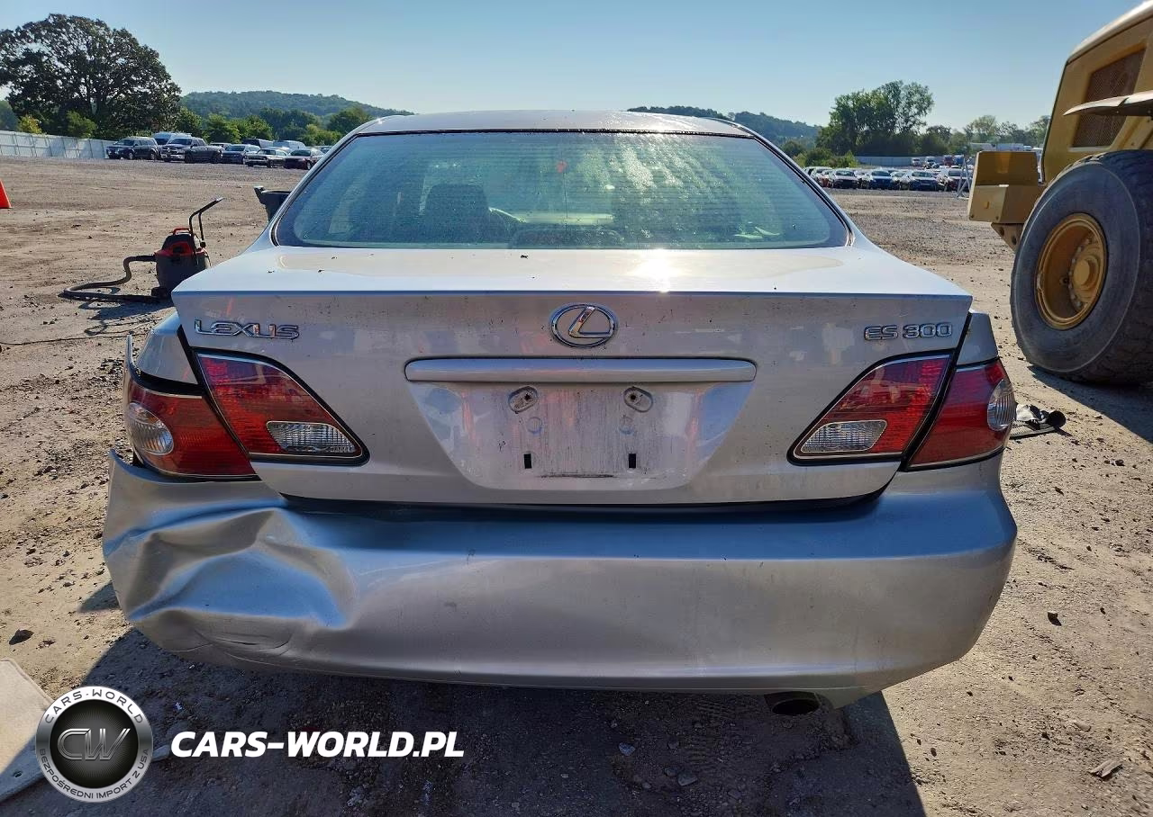 2003 Lexus Es 300 VIN:JTHBF30G136019582 - 6