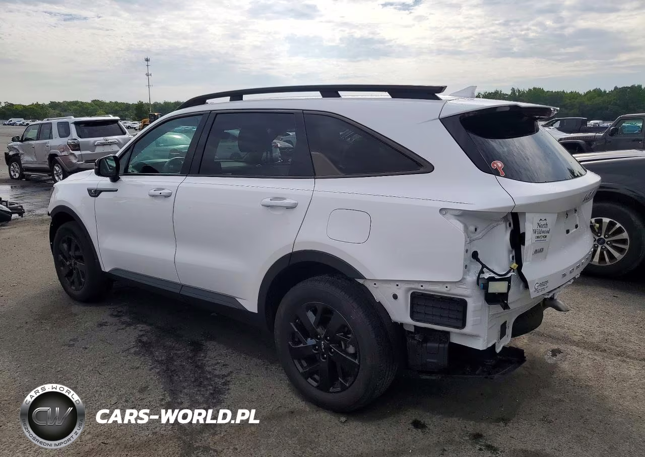 2022 Kia Sorento S VIN:5XYRLDLC8NG161225 - 2