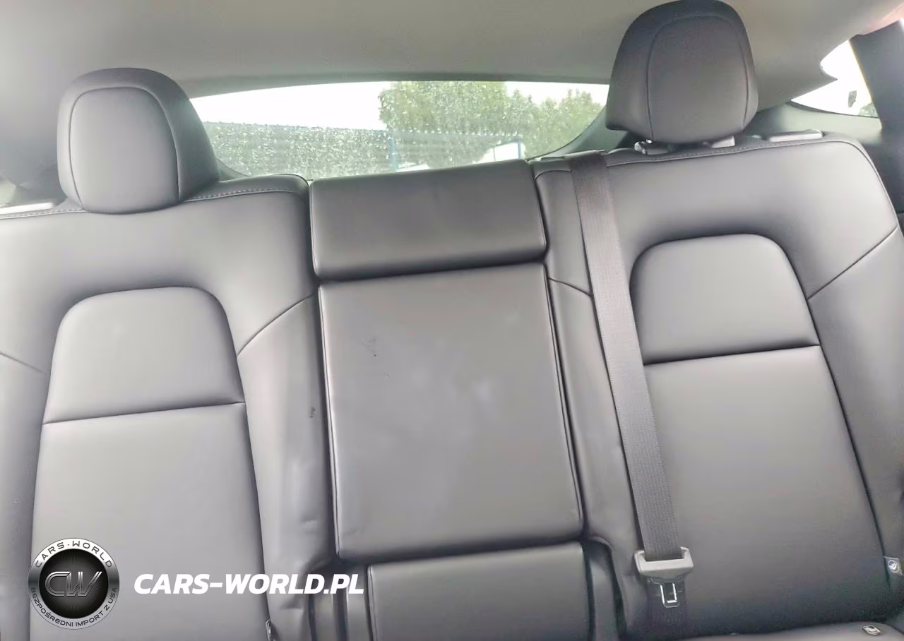 2025 Tesla Model Y VIN:7SAYGDED4SF275816 - 10