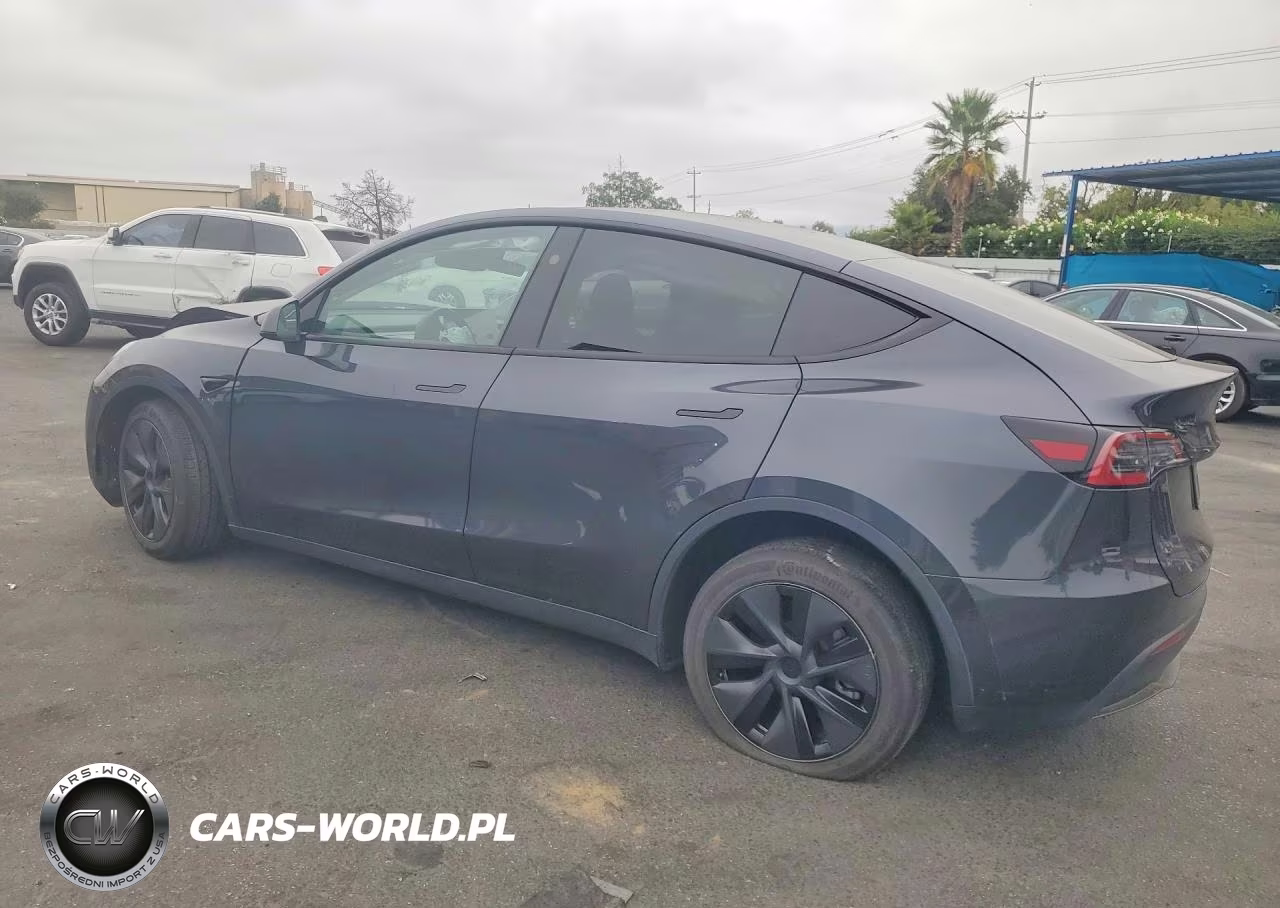 2025 Tesla Model Y VIN:7SAYGDED4SF275816 - 2