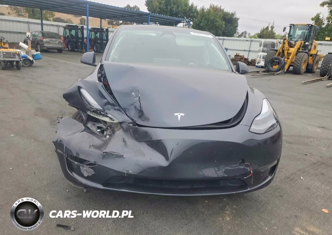 2025 Tesla Model Y VIN:7SAYGDED4SF275816 - 5