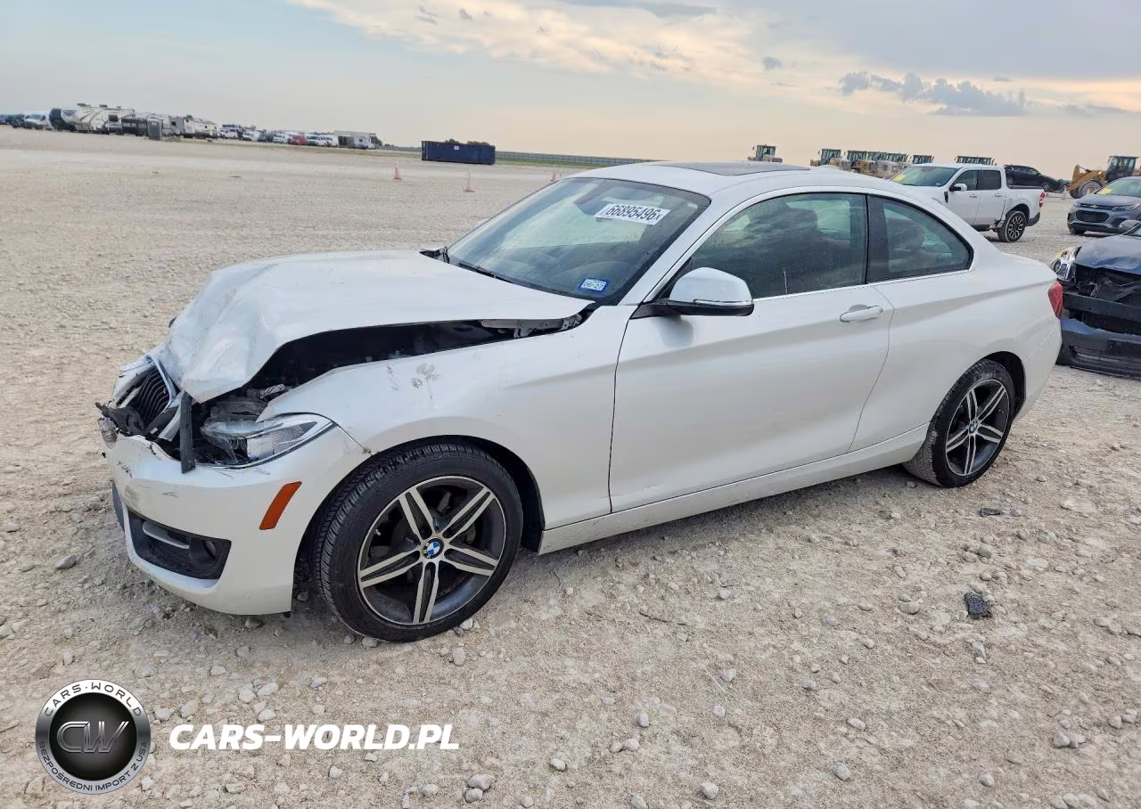 2017 BMW 230Xi VIN:WBA2H9C55HV641900 - 1