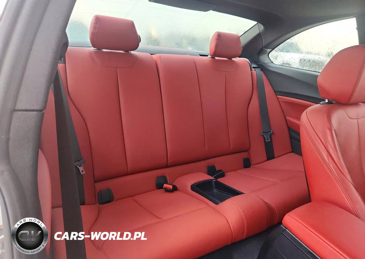 2017 BMW 230Xi VIN:WBA2H9C55HV641900 - 10