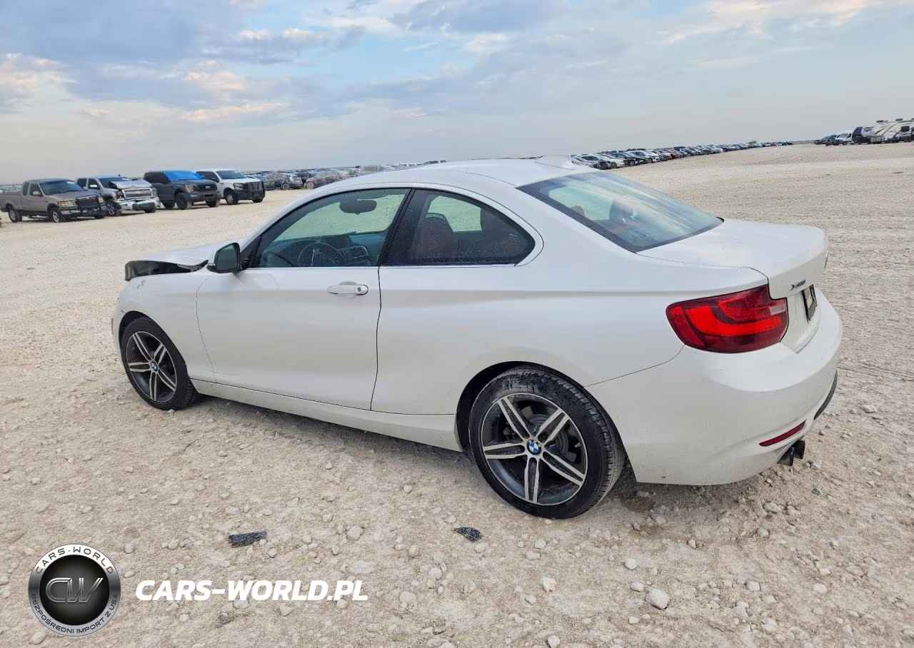 2017 BMW 230Xi VIN:WBA2H9C55HV641900 - 2