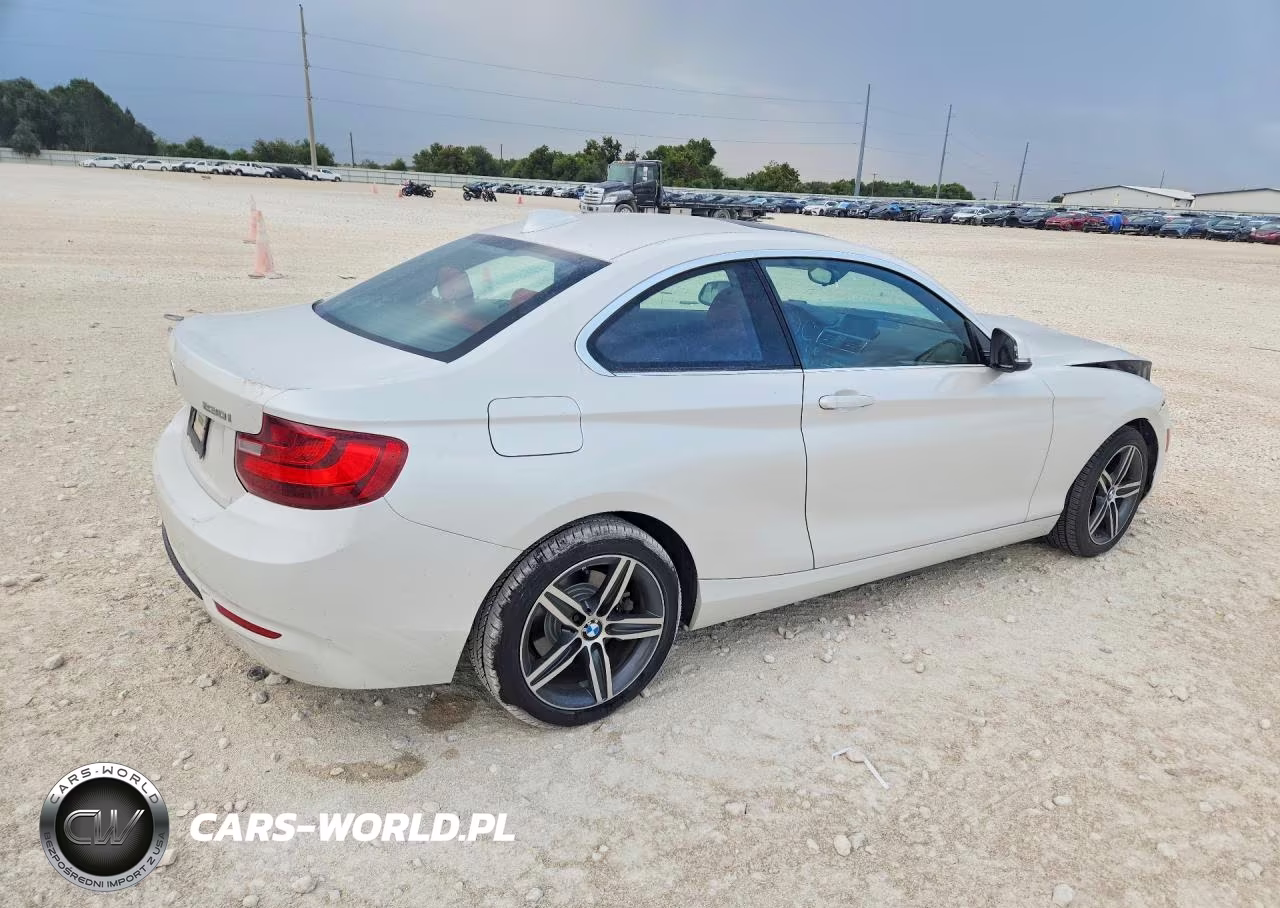 2017 BMW 230Xi VIN:WBA2H9C55HV641900 - 3