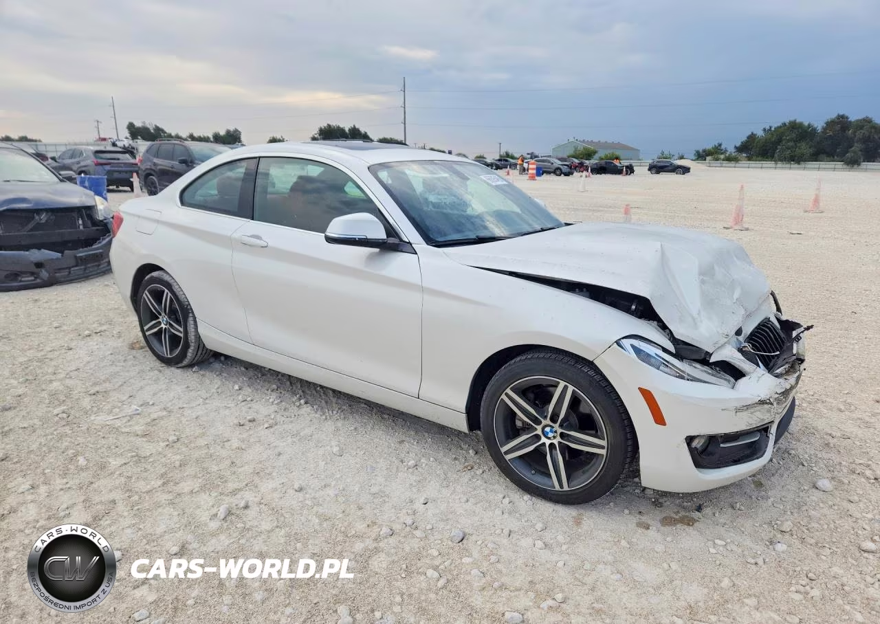 2017 BMW 230Xi VIN:WBA2H9C55HV641900 - 4