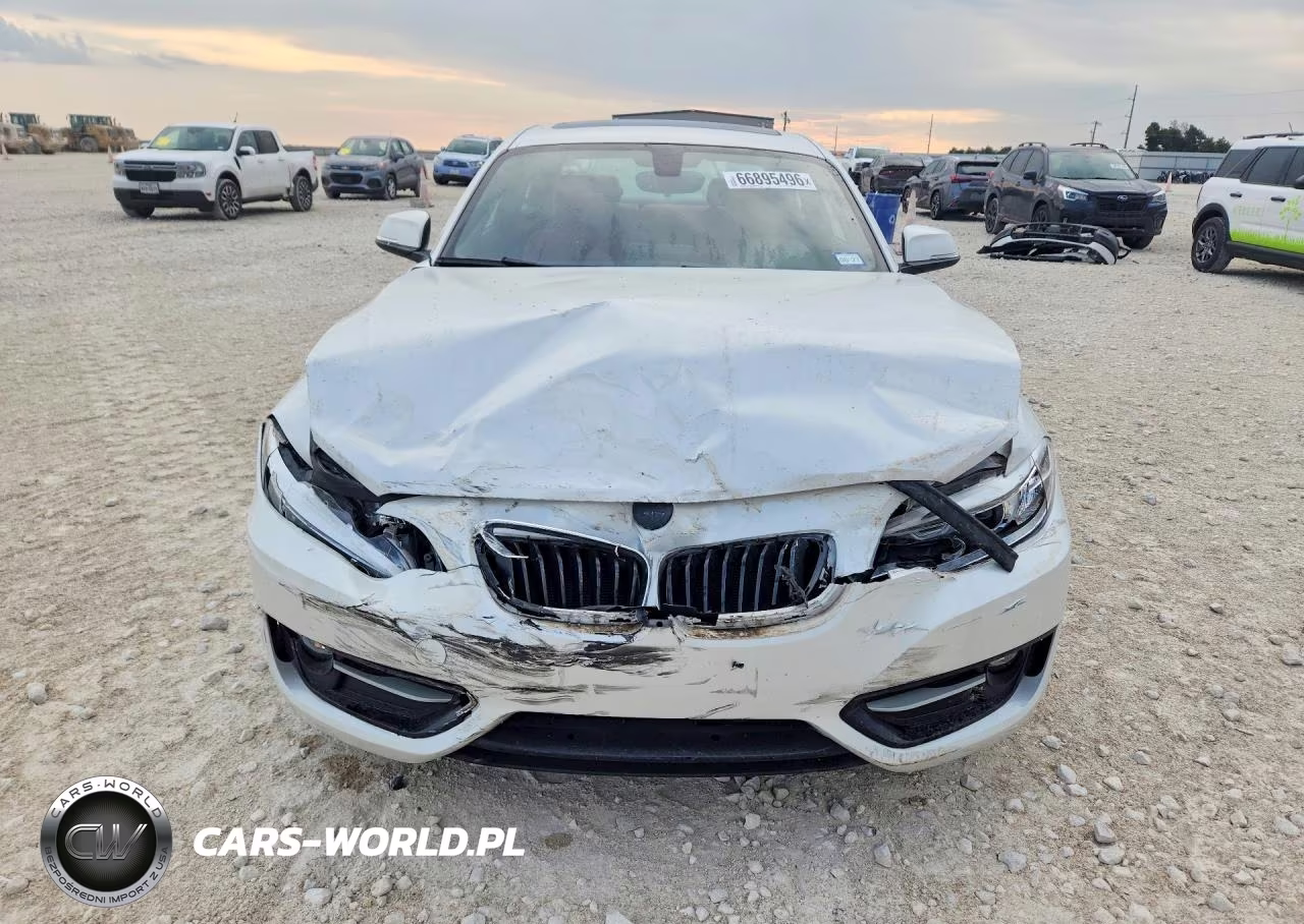 2017 BMW 230Xi VIN:WBA2H9C55HV641900 - 5