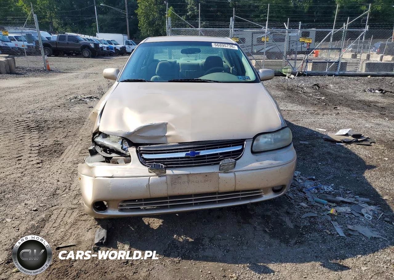 2001 Chevrolet Malibu Ls VIN:1G1NE52J816166056 - 5
