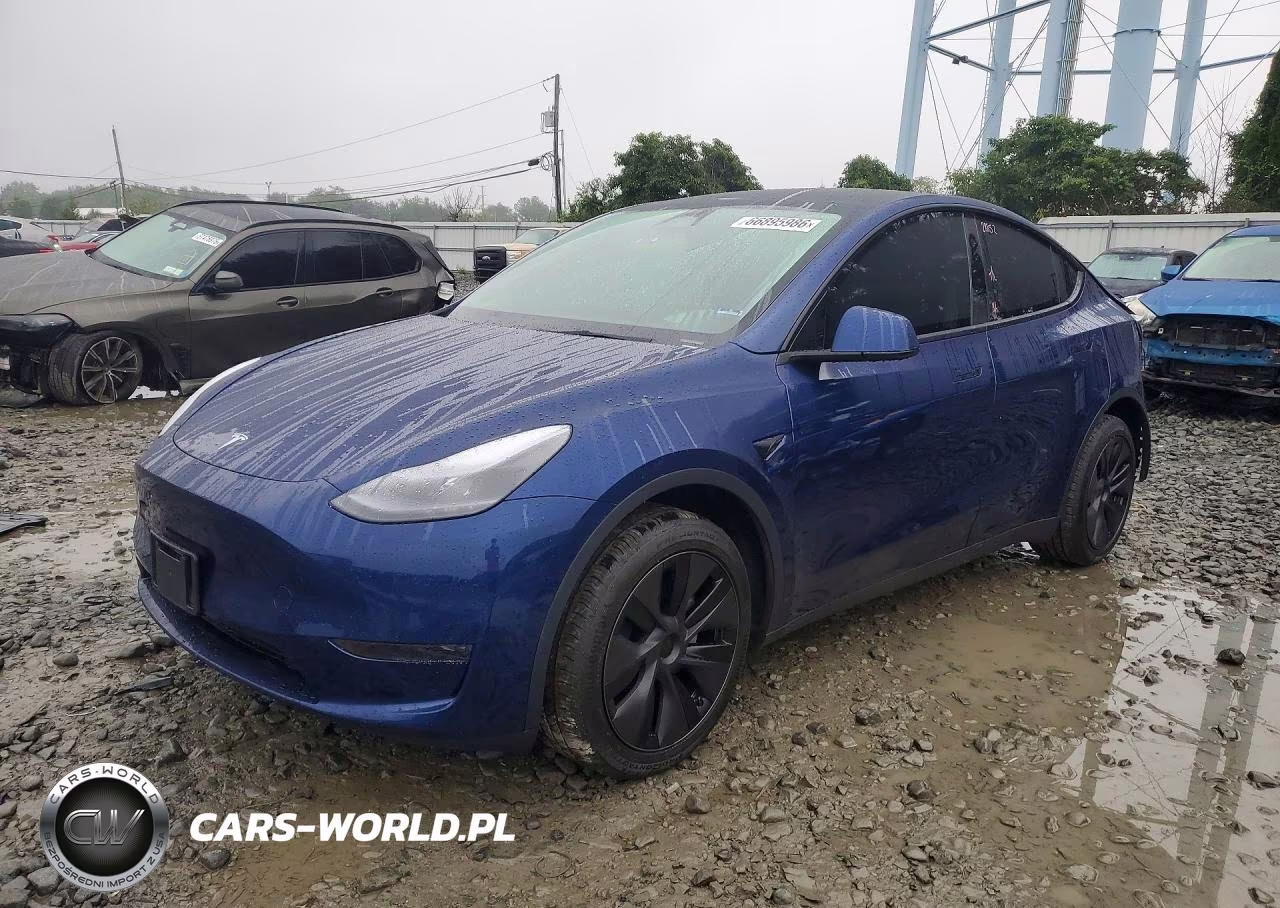 2025 Tesla Model Y VIN:7SAYGDED7SF314964 - 1