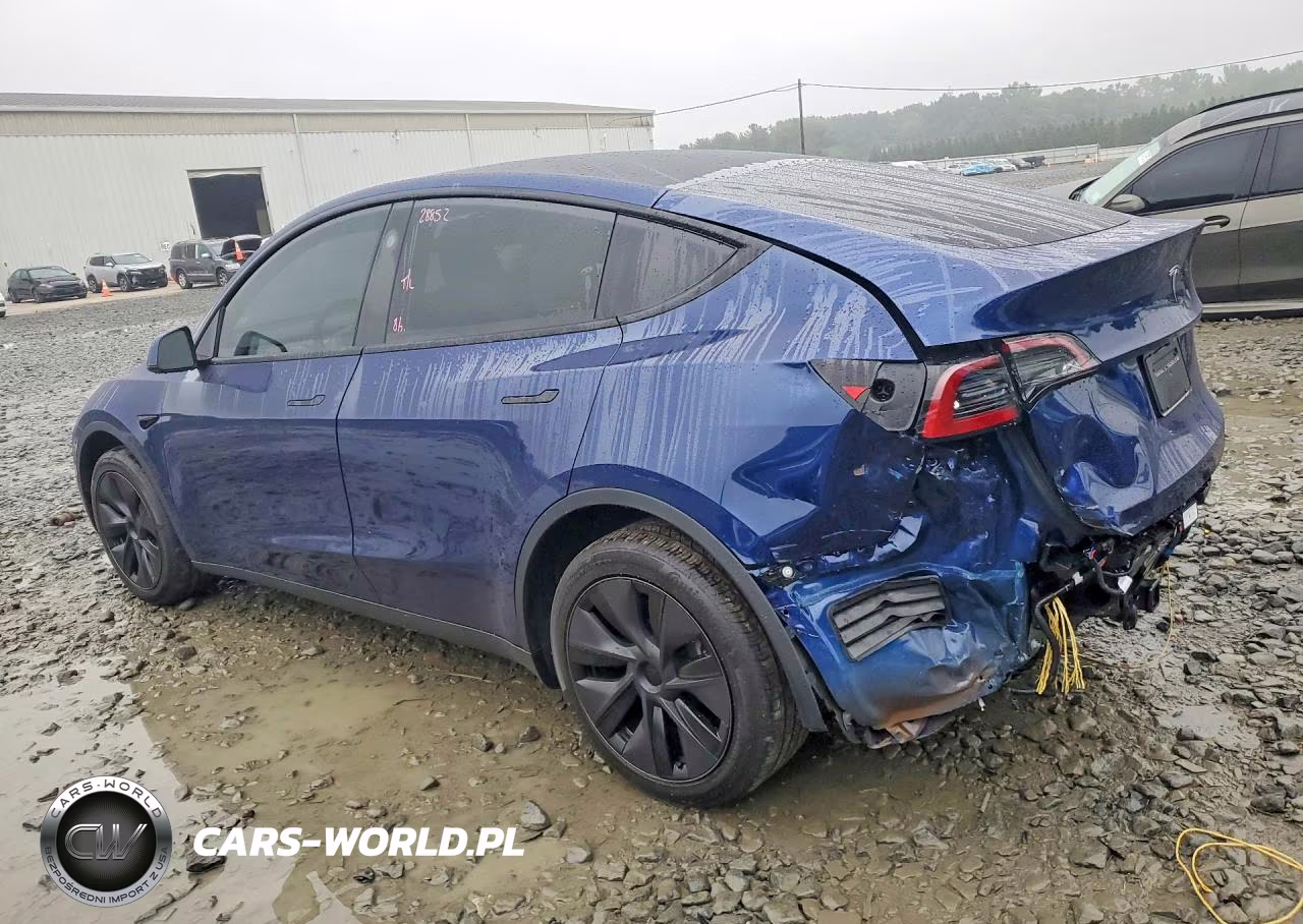 2025 Tesla Model Y VIN:7SAYGDED7SF314964 - 2