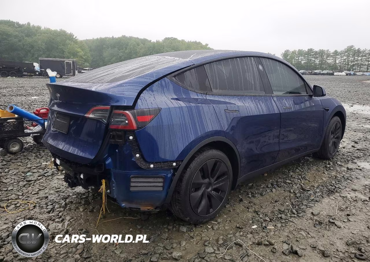 2025 Tesla Model Y VIN:7SAYGDED7SF314964 - 3