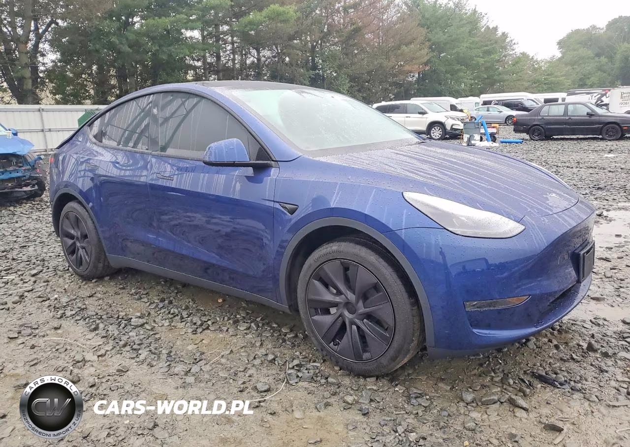 2025 Tesla Model Y VIN:7SAYGDED7SF314964 - 4