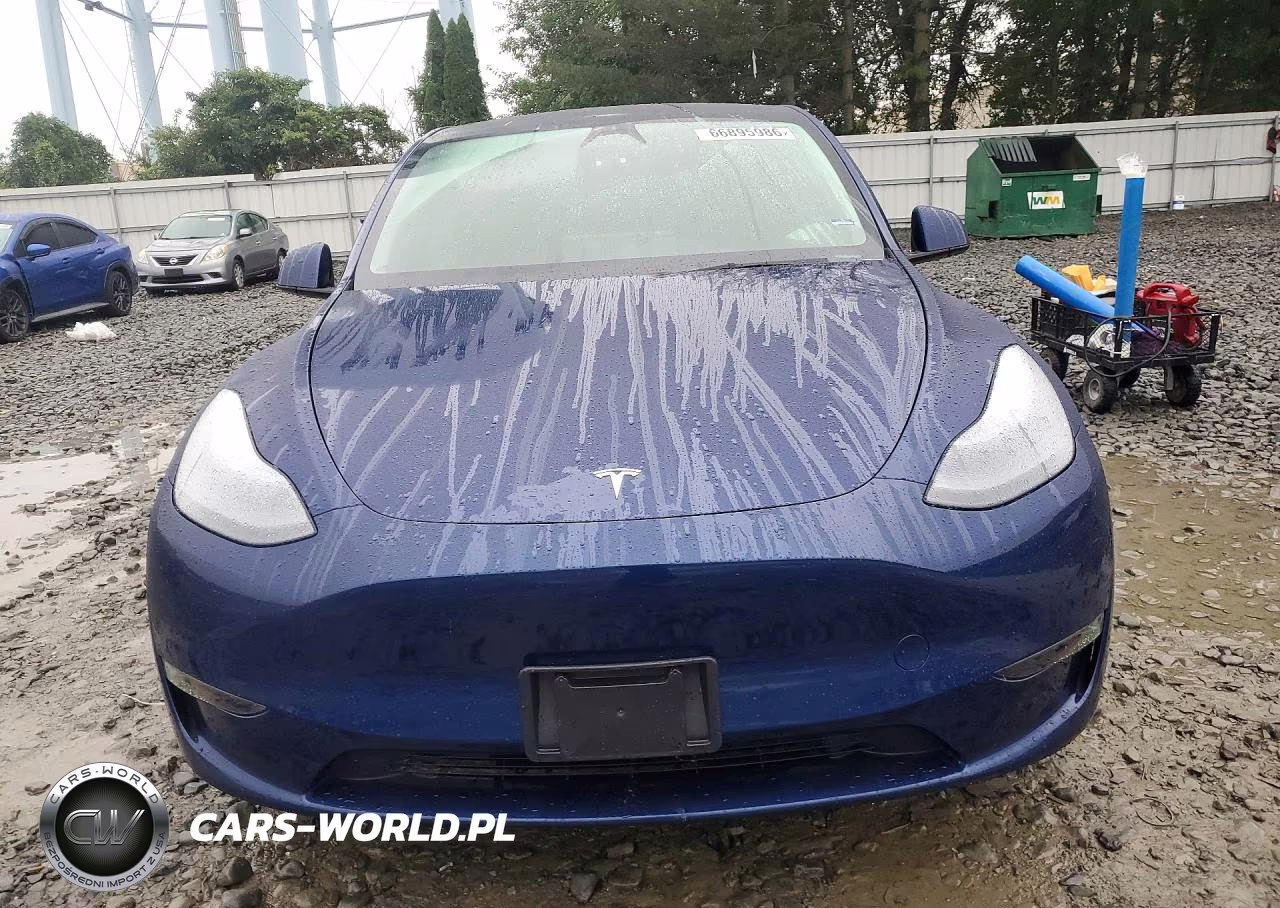 2025 Tesla Model Y VIN:7SAYGDED7SF314964 - 5