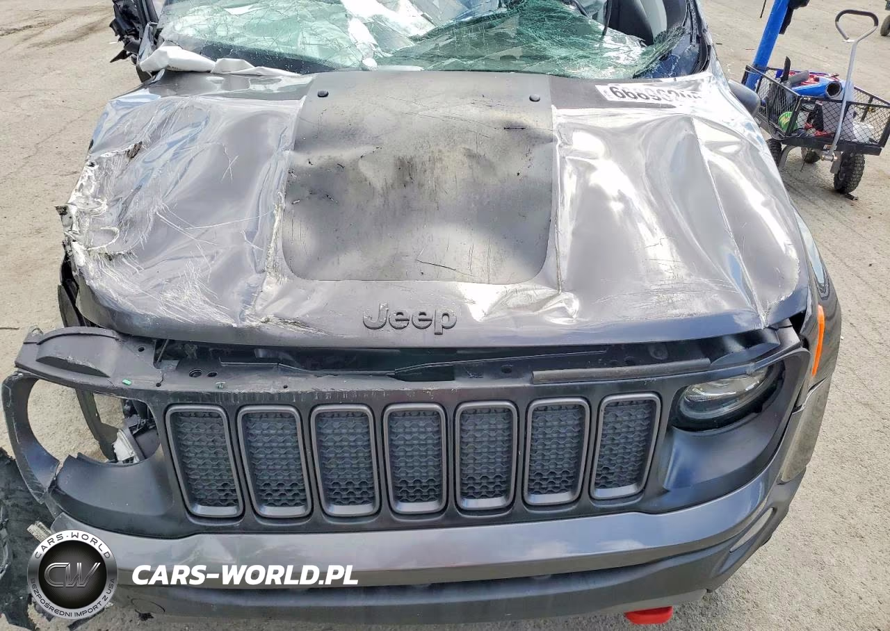 2019 Jeep Renegade Trailhawk VIN:ZACNJBC11KPK12550 - 12