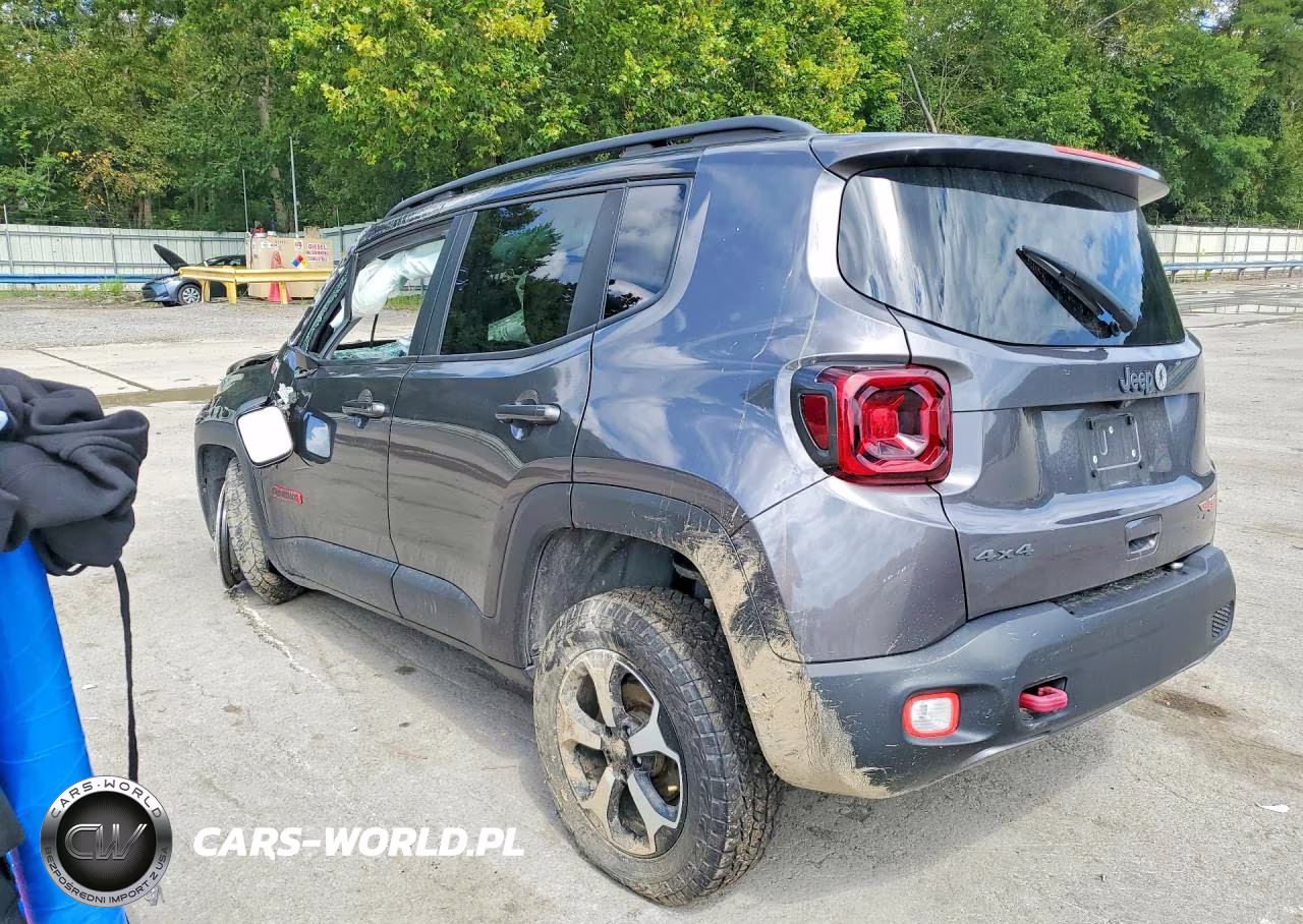 2019 Jeep Renegade Trailhawk VIN:ZACNJBC11KPK12550 - 2
