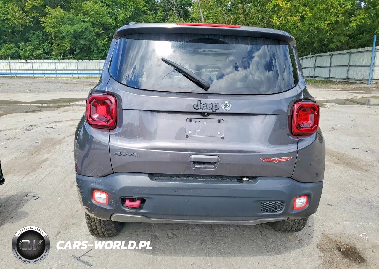 2019 Jeep Renegade Trailhawk VIN:ZACNJBC11KPK12550 - 6